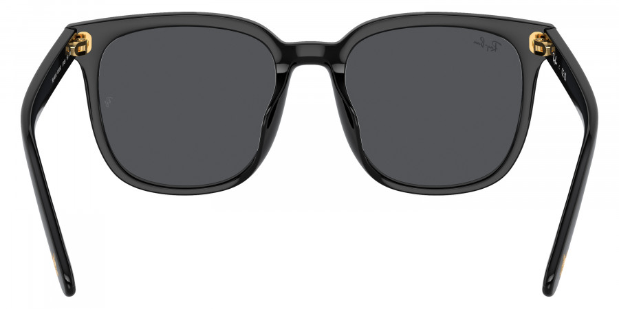 Ray-Ban™ - RB4401D