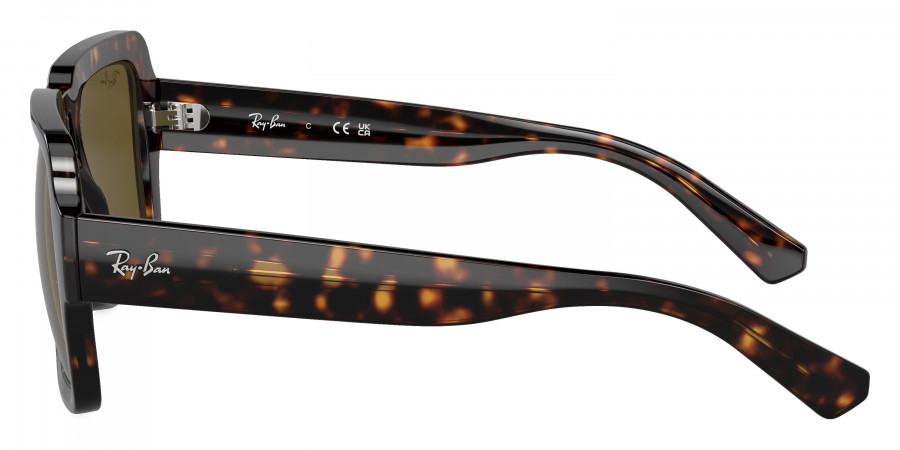 Ray-Ban™ - Magellan RB4408