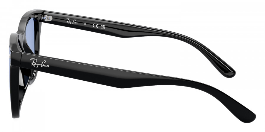 Ray-Ban™ - RB4420