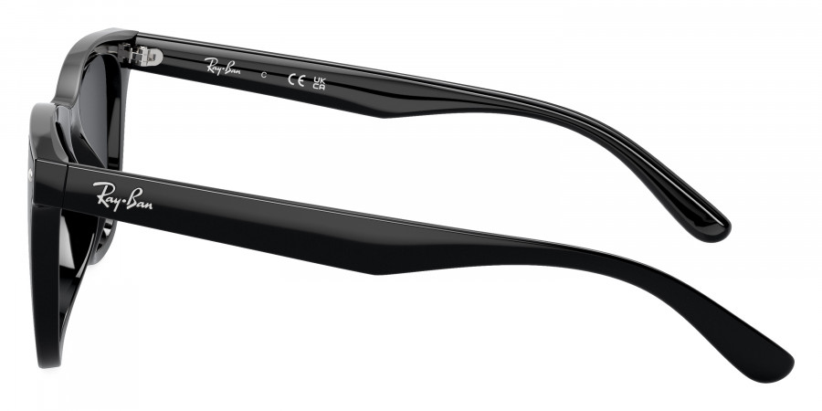Ray-Ban™ - RB4420