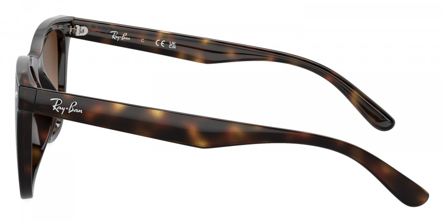 Ray-Ban™ - RB4420