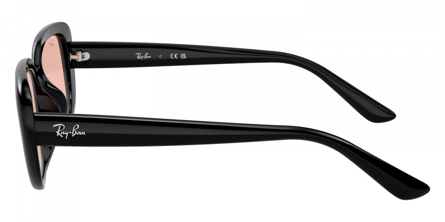 Ray-Ban™ - RB4421D