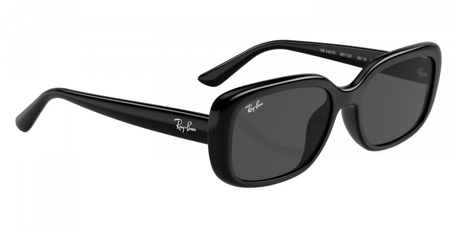 Ray-Ban™ - RB4421D