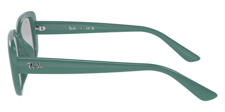 Ray-Ban™ - RB4421D