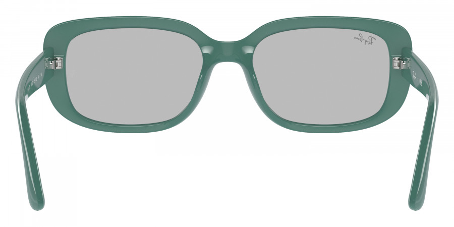 Ray-Ban™ - RB4421D
