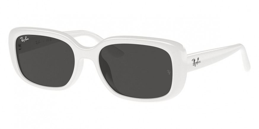 Ray-Ban™ RB4421D 677287 56 - White