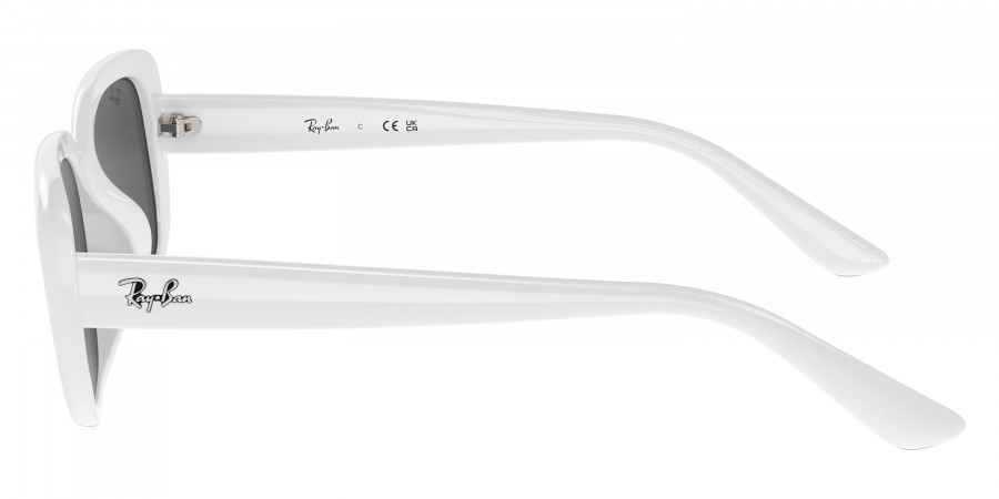Ray-Ban™ - RB4421D