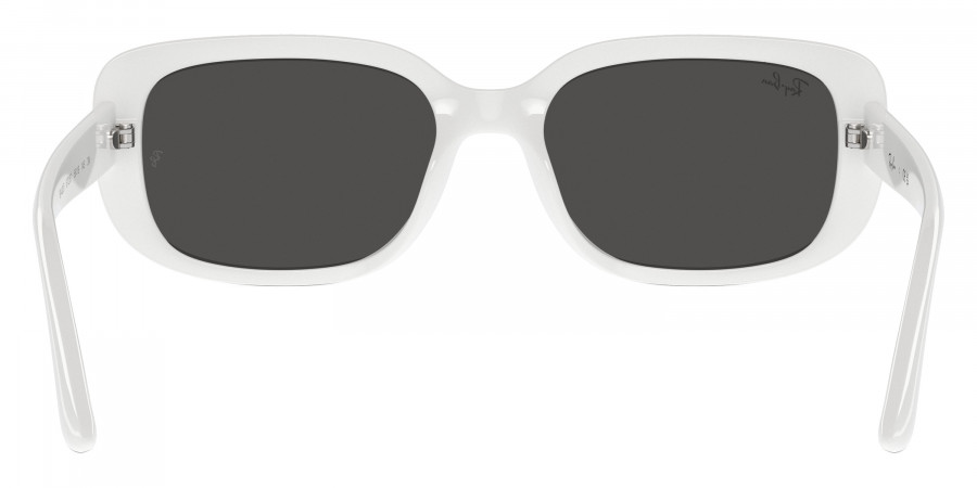 Ray-Ban™ - RB4421D
