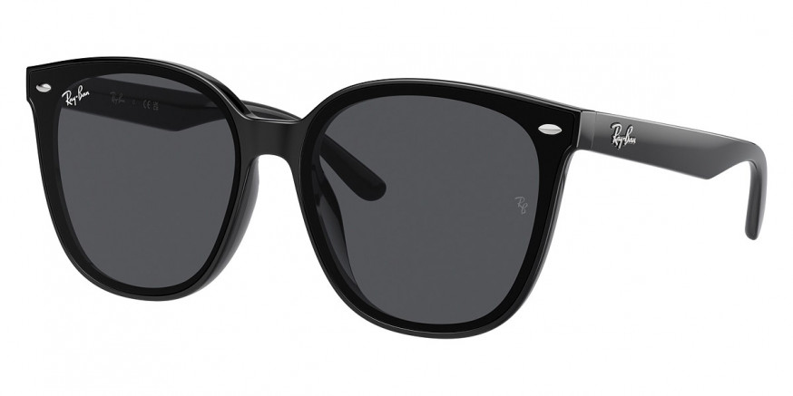 Ray-Ban™ - RB4423D