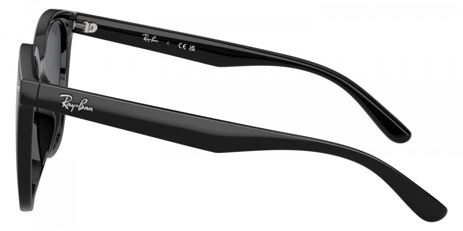 Ray-Ban™ - RB4423D