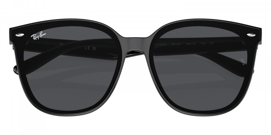 Ray-Ban™ - RB4423D
