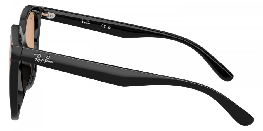 Ray-Ban™ - RB4423D