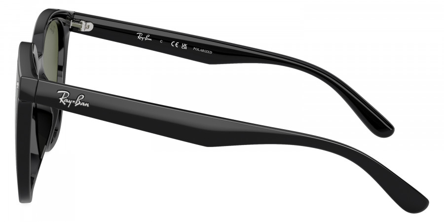 Ray-Ban™ - RB4423D