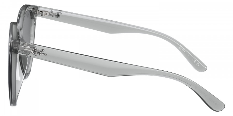 Ray-Ban™ - RB4423D