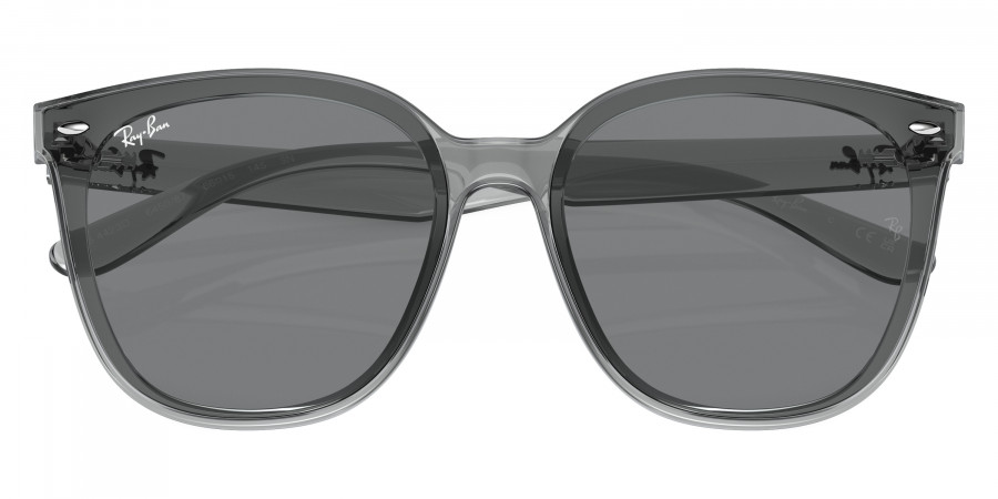 Ray-Ban™ - RB4423D