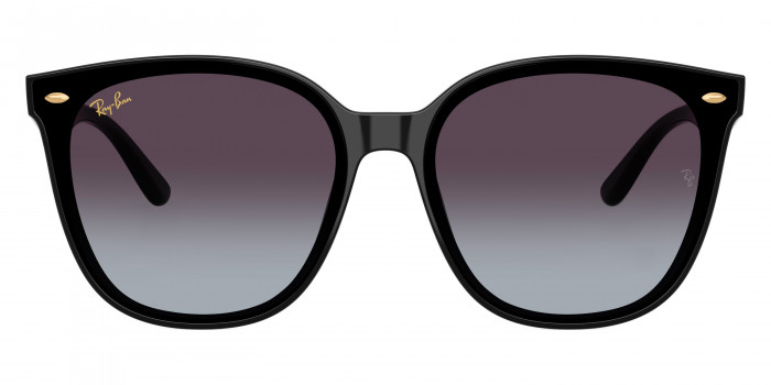 Ray-Ban™ RB4423D 68078G 66 - Black