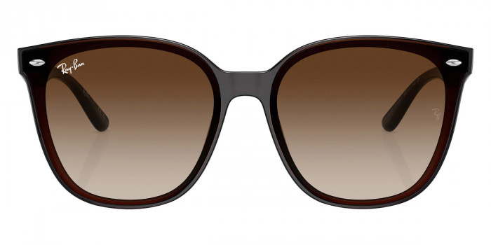 Ray-Ban™ RB4423D 714/13 66 - Transparent Brown