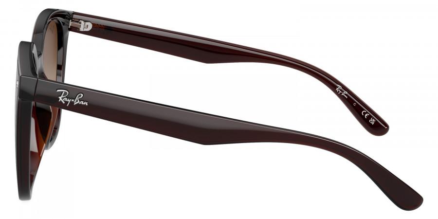 Ray-Ban™ - RB4423D