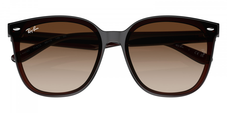 Ray-Ban™ - RB4423D