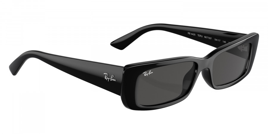 Ray-Ban™ - Teru RB4425