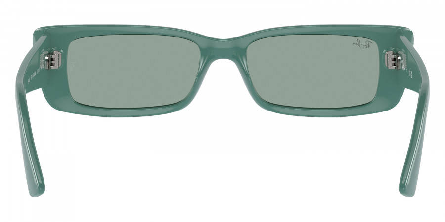 Ray-Ban™ - Teru RB4425