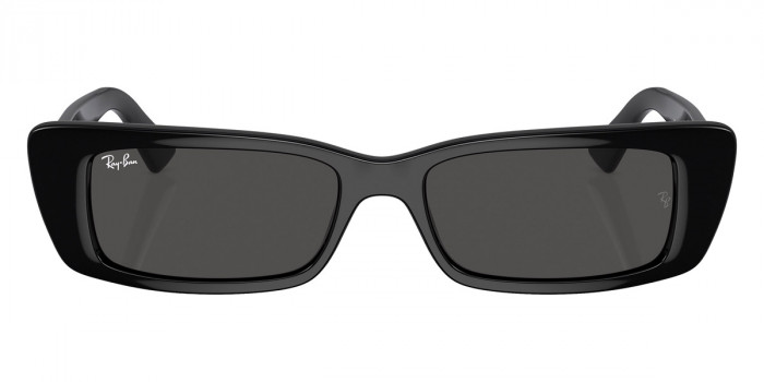 Ray-Ban™ - Teru RB4425F