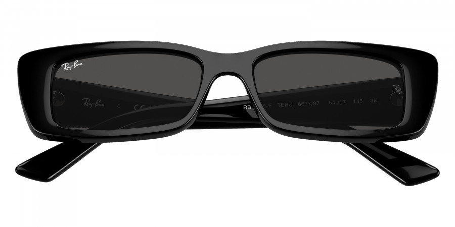 Ray-Ban™ - Teru RB4425F
