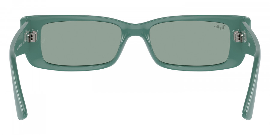 Ray-Ban™ - Teru RB4425F