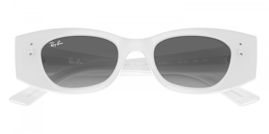 Ray-Ban™ - Kat RB4427