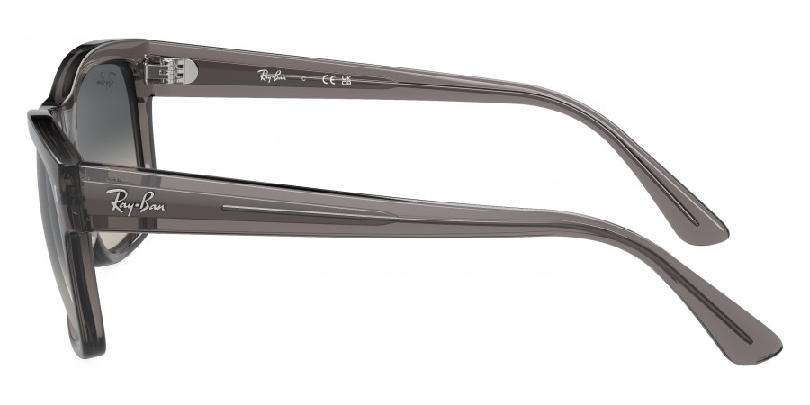 Ray-Ban™ - RB4428