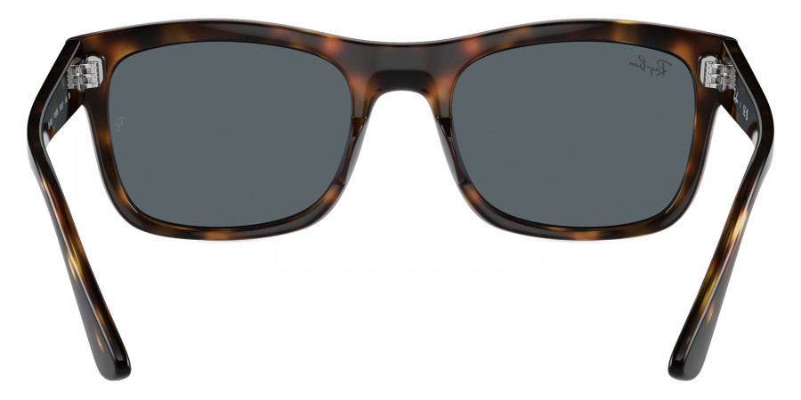 Ray-Ban™ - RB4428