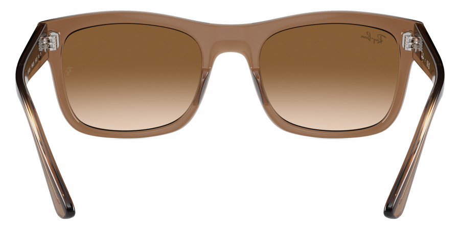 Ray-Ban™ - RB4428F