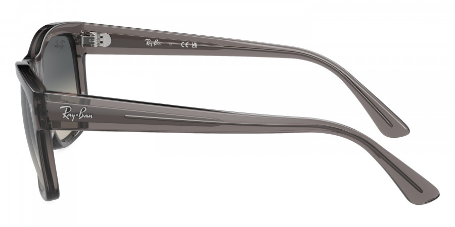 Ray-Ban™ - RB4428F