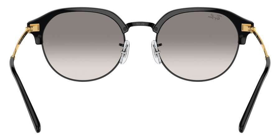 Ray-Ban™ - RB4429