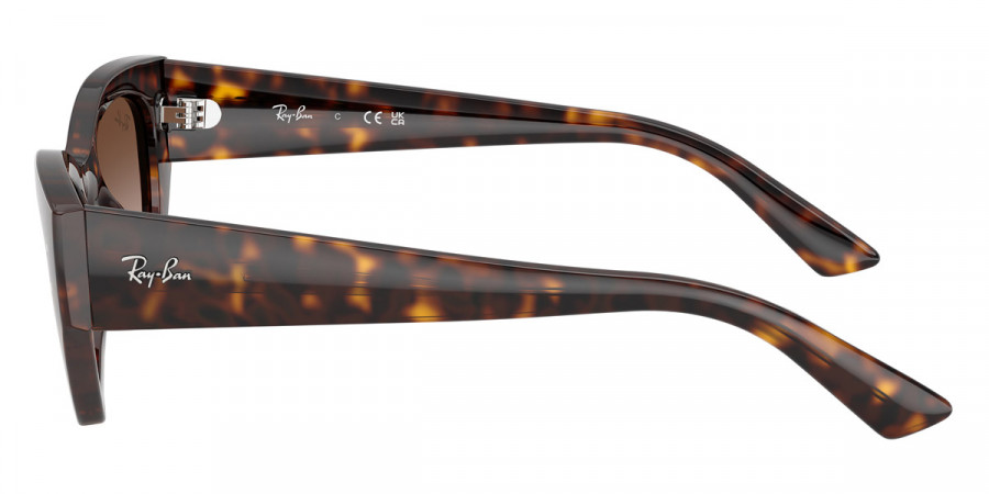 Color: Havana (135913) - Ray-Ban RB443013591349