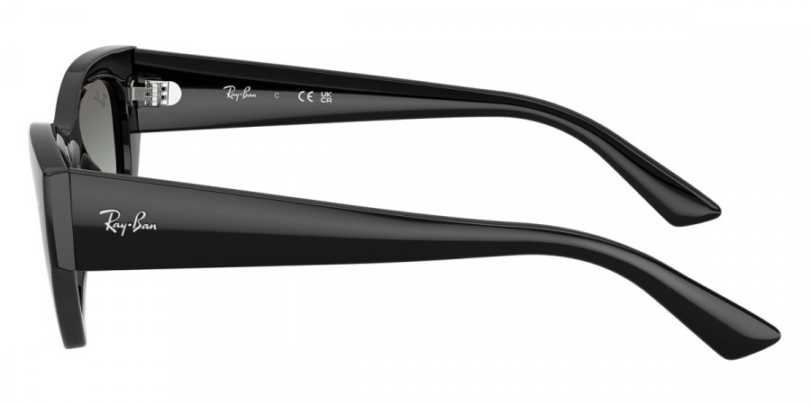 Color: Black (667711) - Ray-Ban RB443066771149