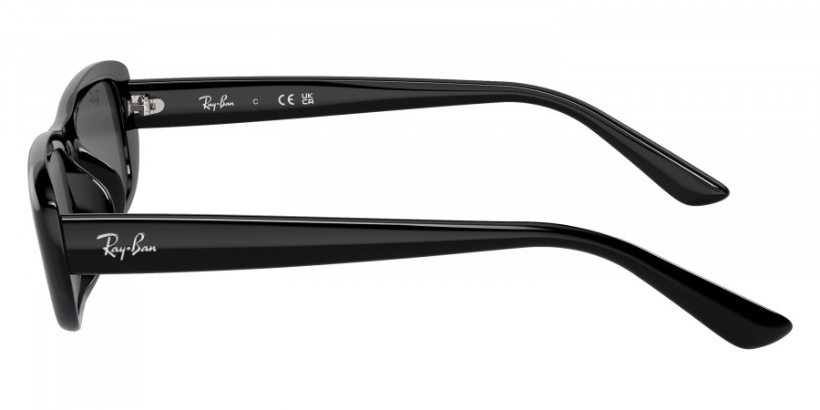 Ray-Ban™ - RB4436D