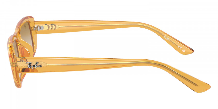 Ray-Ban™ - RB4436D