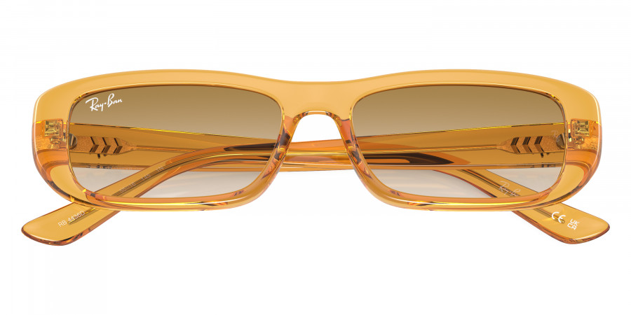 Ray-Ban™ - RB4436D