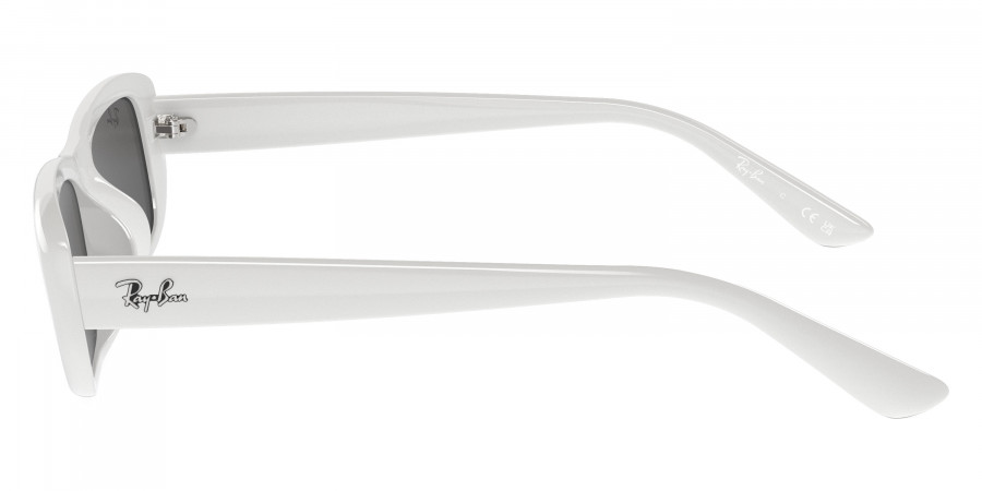 Ray-Ban™ - RB4436D