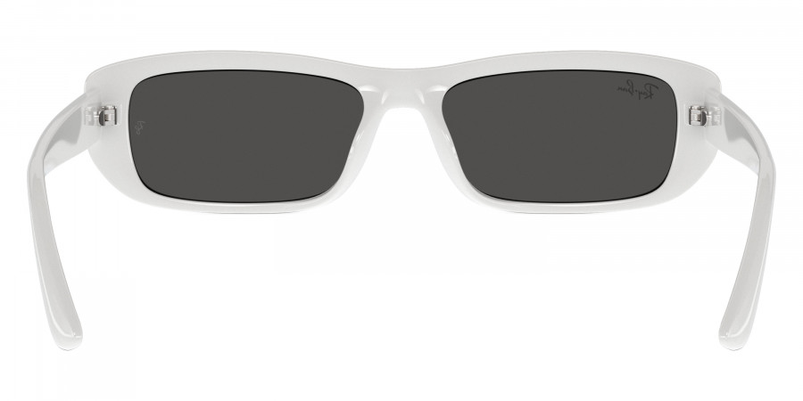 Ray-Ban™ - RB4436D