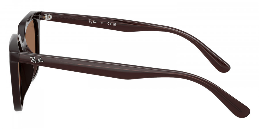 Ray-Ban™ - RB4439D