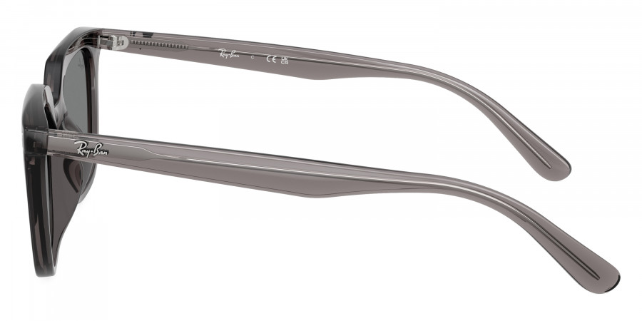 Ray-Ban™ - RB4439D