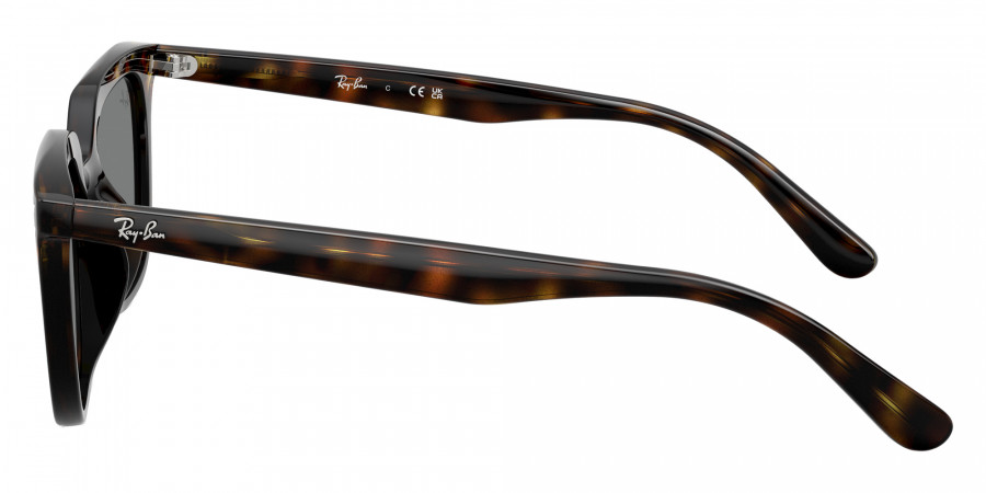 Color: Havana (710/87) - Ray-Ban RB4439D710/8754