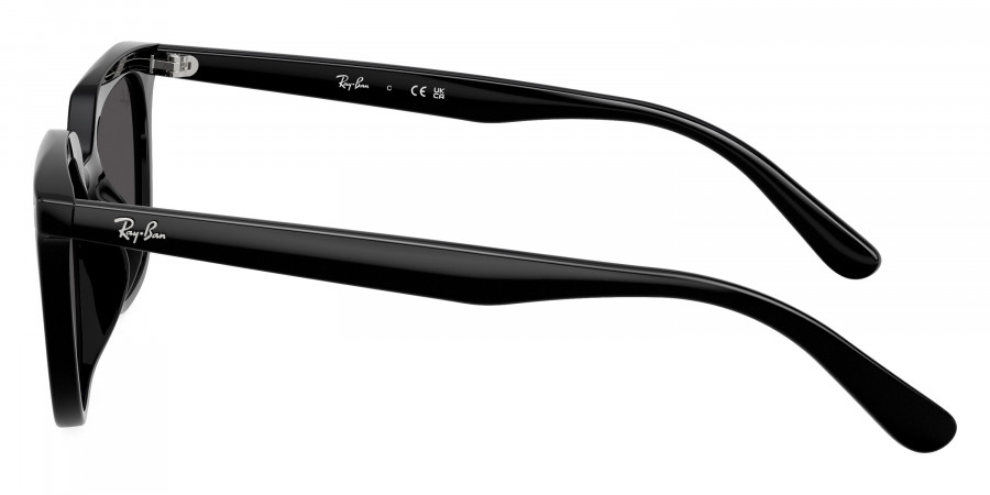 Ray-Ban™ - RB4439D