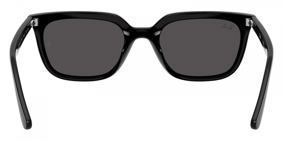 Ray-Ban™ - RB4439D