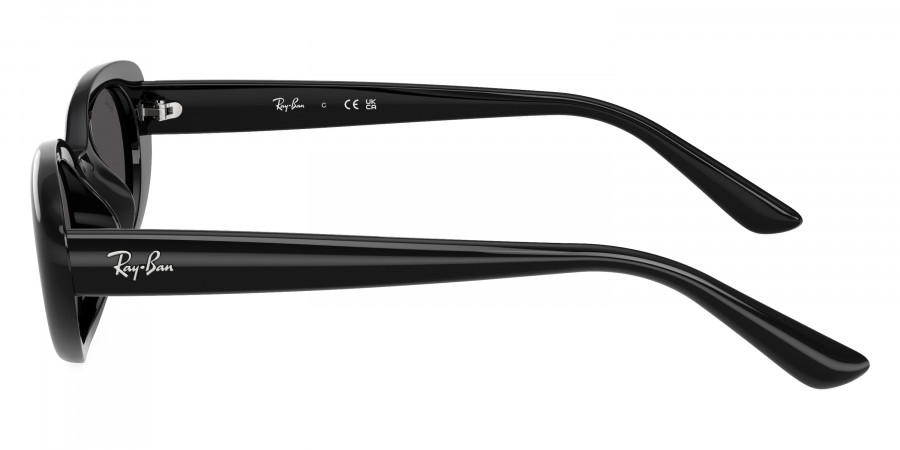 Ray-Ban™ - RB4441D