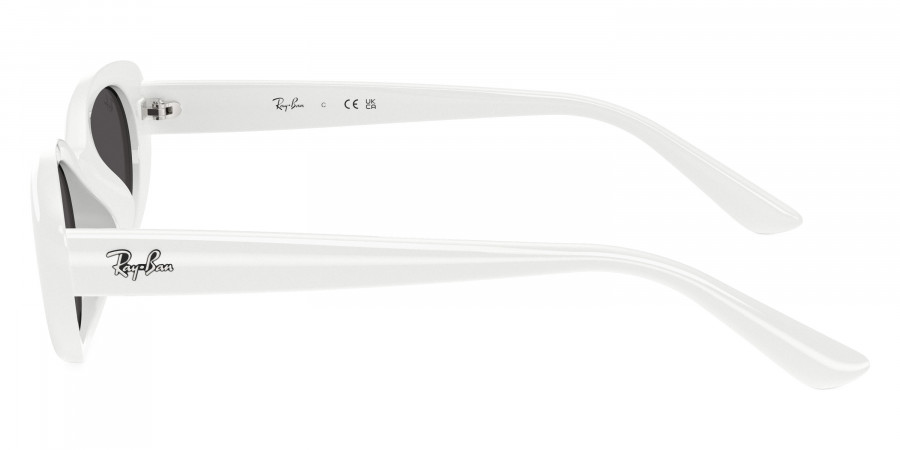 Ray-Ban™ - RB4441D