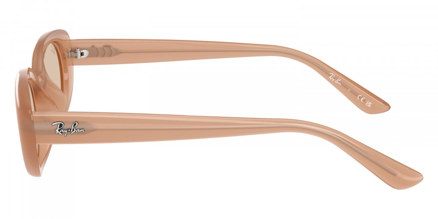 Ray-Ban™ - RB4441D