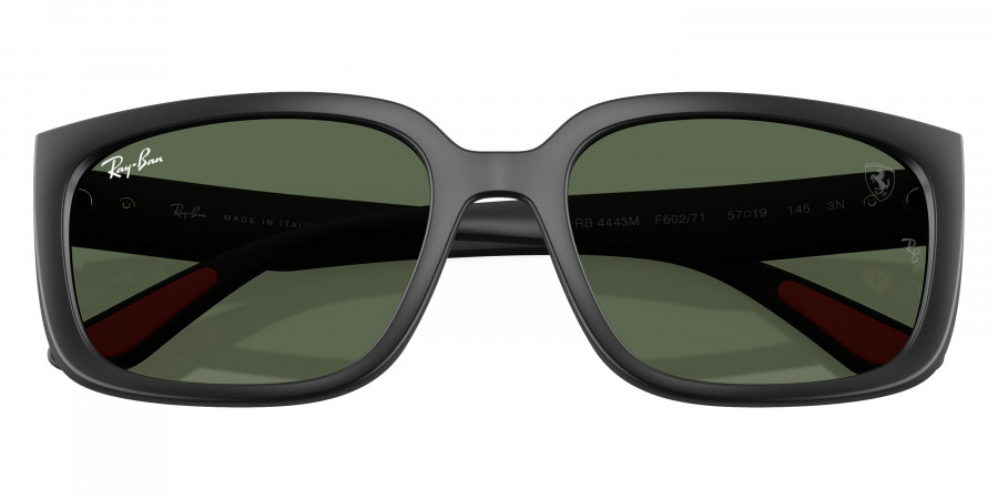 Ray-Ban™ - RB4443M